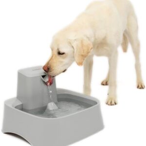 Drinkwell 2 Gallon Pet Fountain